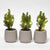 Mini-Weihnachtsbaum-Set mit Topf Joey und LED-Lichterkette