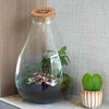 Flaschengarten-Set „Love Mom Drop XL“ – DIY-Terrarium mit graviertem Korken – Ansicht 4
