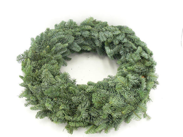 Nobilis-Kranz – Abies procera