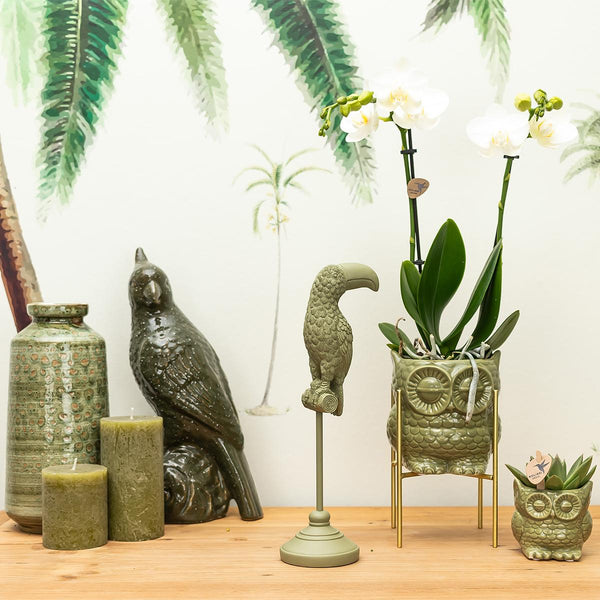 Deko-Skulptur Tukan – Ansicht 2