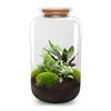 Flaschengarten-Set „Botanical Sven XL“ – DIY-Terrarium mit Licht – Ansicht 2