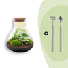 Flaschengarten-Set „Sam XL" – DIY-Terrarium mit Licht