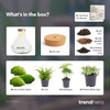 Flaschengarten-Set „Sam XL" – DIY-Terrarium mit Licht – Ansicht 3