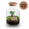 Flaschengarten-Set „Love Mom Little Milky“ – DIY-Terrarium mit graviertem Korken und Licht