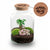 Flaschengarten-Set „Love Mom Little Milky“ – DIY-Terrarium mit graviertem Korken und Licht