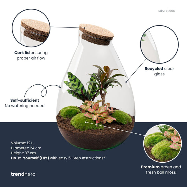 Flaschengarten-Set „Drop XL Palm" – DIY-Terrarium mit Palme – Ansicht 3