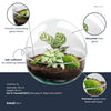Flaschengarten-Set „Dome" – DIY-Terrarium im Kugelglas – Ansicht 3