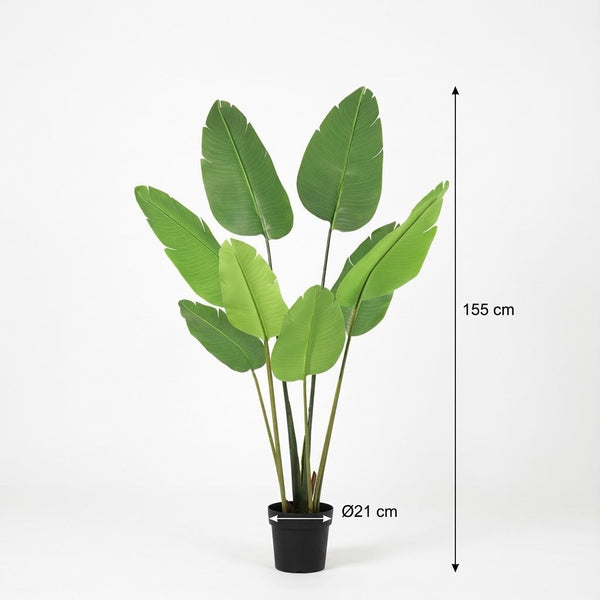 Kunstpflanze Baumstrelitzie (Strelitzia nicolai) – Ansicht 5