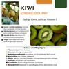 Obstpflanzen-Set „Süße Ernte Trio" – 3 verschiedene BIO-Obstpflanzen – Ansicht 14