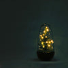 Flaschengarten-Set „Egg Christmas" – DIY-Terrarium mit Weihnachtsdeko