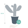 Feigenkaktus – Opuntia consolea – Ansicht 2