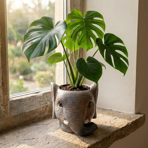 Übertopf Elefant – Ansicht 6