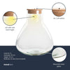Flaschengarten-Set „Sam XL" – Terrarium mit LED-Korken
