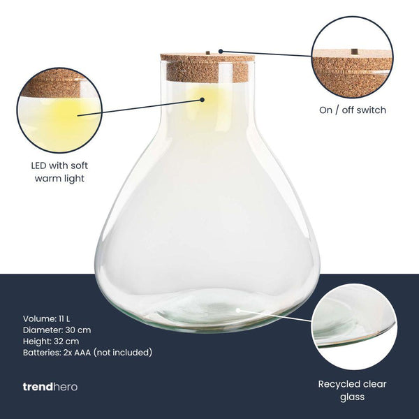 Flaschengarten-Set „Sam XL" – Terrarium mit LED-Korken