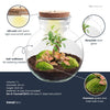 Flaschengarten-Set „Teddy Bonsai" – DIY-Kit mit Bonsai und Beleuchtung