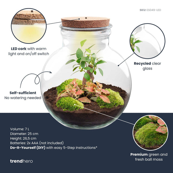 Flaschengarten-Set „Teddy Bonsai" – DIY-Kit mit Bonsai und Beleuchtung