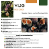 Obstpflanzen-Set „Süße Ernte Trio" – 3 verschiedene BIO-Obstpflanzen – Ansicht 4