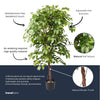 Kunstpflanze Ficus Deluxe Vine – Ansicht 13