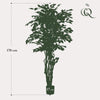 kunstplant - Ficus liana- Vioolbladplant - 170cm