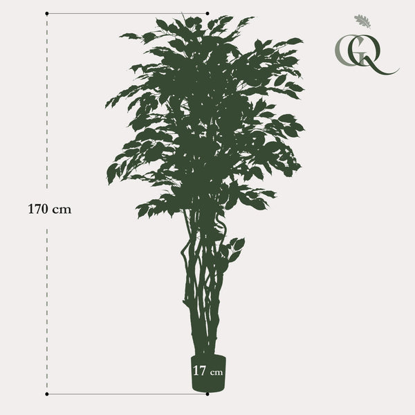 kunstplant - Ficus liana- Vioolbladplant - 170cm