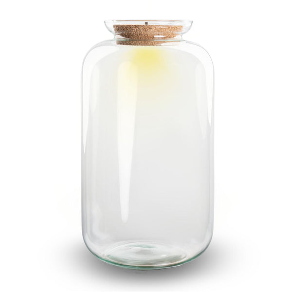 Flaschengarten-Set „Sven XL" – Terrarium mit LED-Beleuchtung