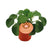 Ufopflanze – Pilea peperomioides