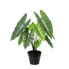 Kunstpflanze Alocasia ‚Polly' – Ø 8 cm · 40 cm