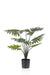 Kunstpflanze - Philodendron - 60 cm