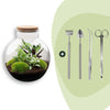 Flaschengarten-Set „Bolder Bob" – DIY-Terrarium mit Beleuchtung