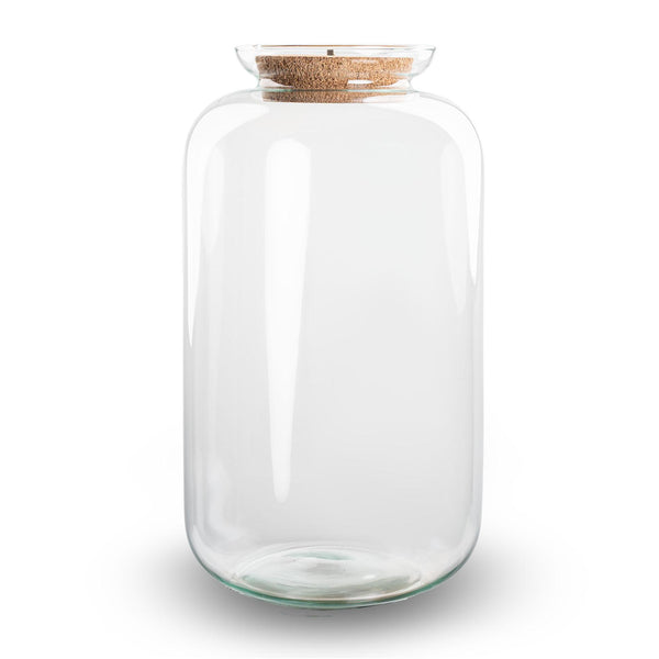Flaschengarten-Set „Sven XL" – Terrarium mit LED-Beleuchtung