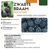 Obstpflanzen-Set „Süße Ernte Trio" – 3 verschiedene BIO-Obstpflanzen – Ansicht 6
