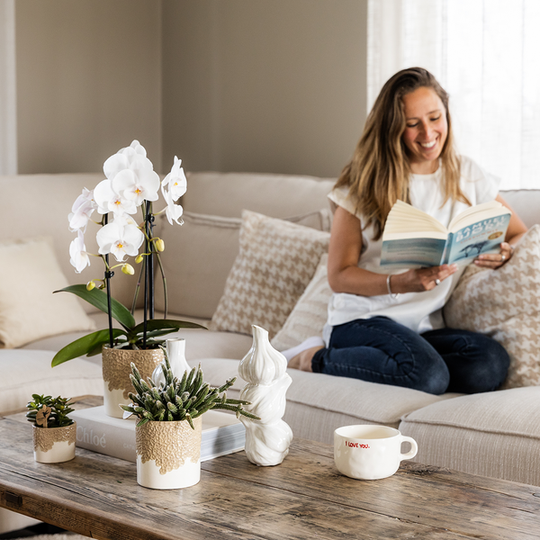 Pflanzen-Set „Bloom Sand" – Orchidee ‚Niagara Falls' mit Grünpflanzen – Ansicht 3