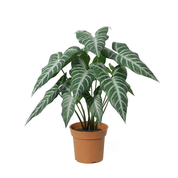 Kunstpflanze Alocasia ‚Polly'