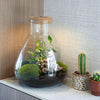 Flaschengarten-Set „Love Mom Sam“ – DIY-Terrarium mit graviertem Korken und Licht – Ansicht 3