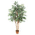 Kunstpflanze Ficus Exotica