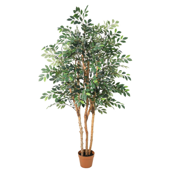 Kunstpflanze Ficus Exotica