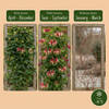 Japanisches Geißblatt ‚Red World' – Lonicera japonica – Ansicht 4