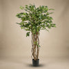 Kunstbaum Ficus Liana – Ansicht 5