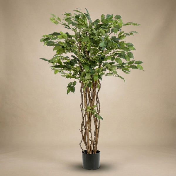 Kunstbaum Ficus Liana – Ansicht 5