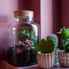 Flaschengarten-Set „Love Mom Little Milky“ – DIY-Terrarium mit graviertem Korken und Licht – Ansicht 2