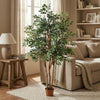 Kunstpflanze Ficus Exotica – Ansicht 4