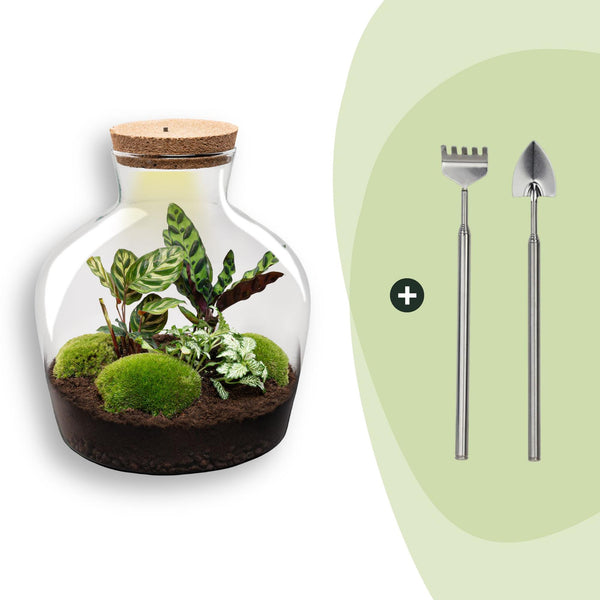 Flaschengarten-Set „Fat Joe" – DIY-Terrarium mit Licht