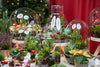 Winter-Flaschengarten-Set „Tinsel" – DIY-Terrarium mit Pflanzen