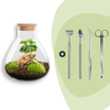 Flaschengarten-Set „Sammie Coffea“ – DIY-Terrarium mit Kaffeepflanze