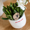 Geschenk-Set „Love You" – rote Phalaenopsis ‚Congo' mit Grünpflanze – Ansicht 3