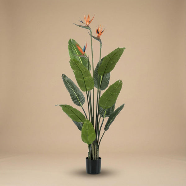 Kunstpflanze Strelitzie mit Blüten im schwarzen Topf – Ansicht 7