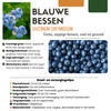 Obstpflanzen-Set „Früchte-Party" – 3 verschiedene BIO-Obstpflanzen – Ansicht 6