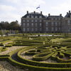 Buchsbaum ‚Babylon Beauty' – Buxus sempervirens – Ansicht 6