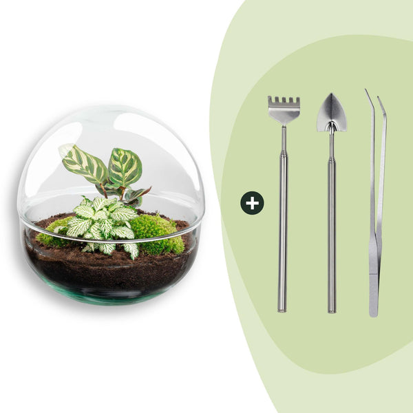 Flaschengarten-Set „Dome" – DIY-Terrarium im Kugelglas
