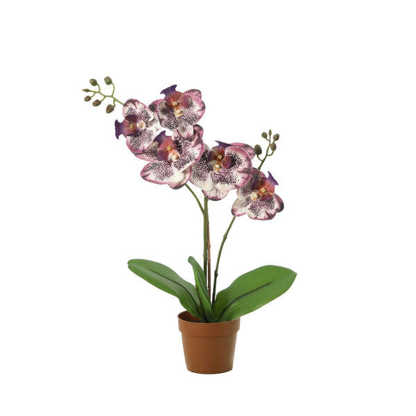 Kunstorchideen-Trio – 3 Schmetterlingsorchideen in Lila, Orange & Violett-Weiß – im Set enthalten: Kunstpflanze Orchidee Phalaenopsis lila